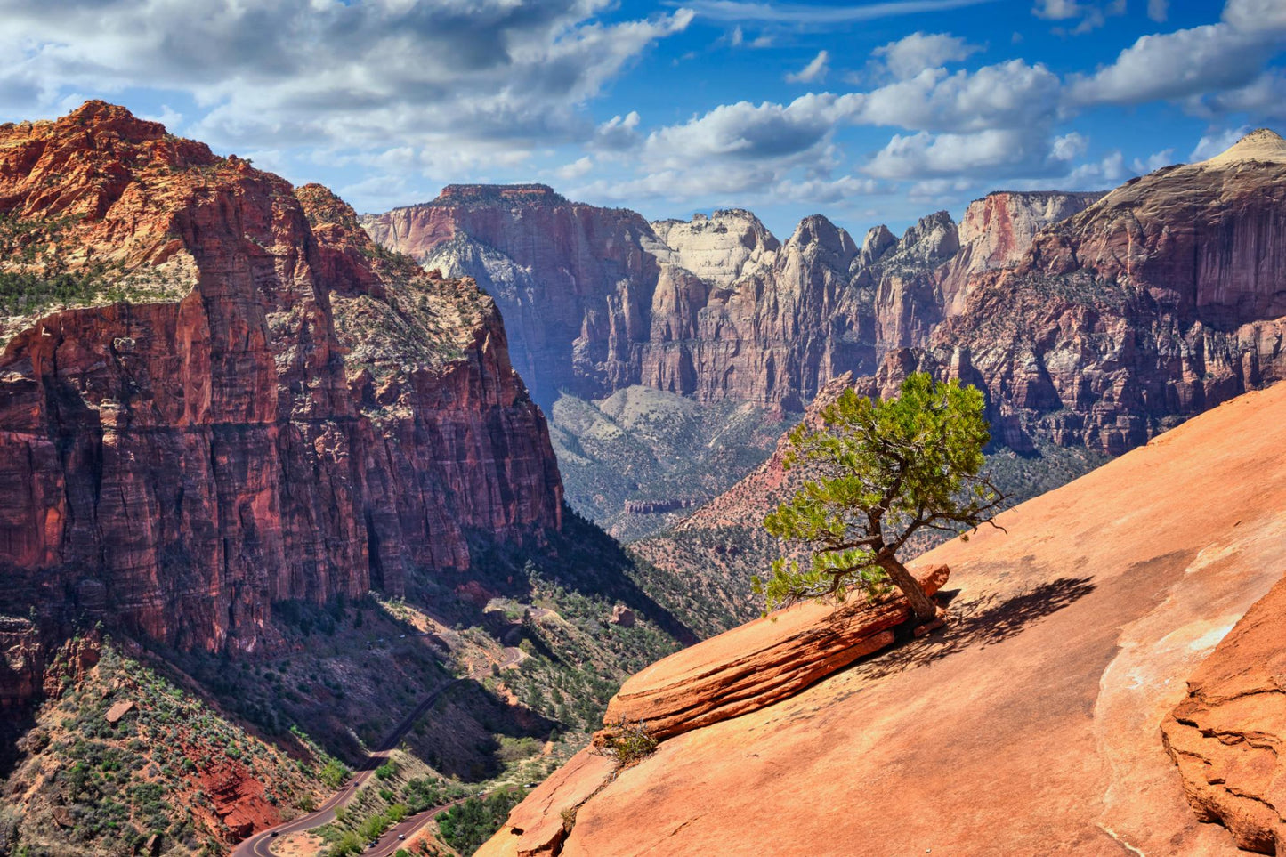 Zion National Park Utah 5868