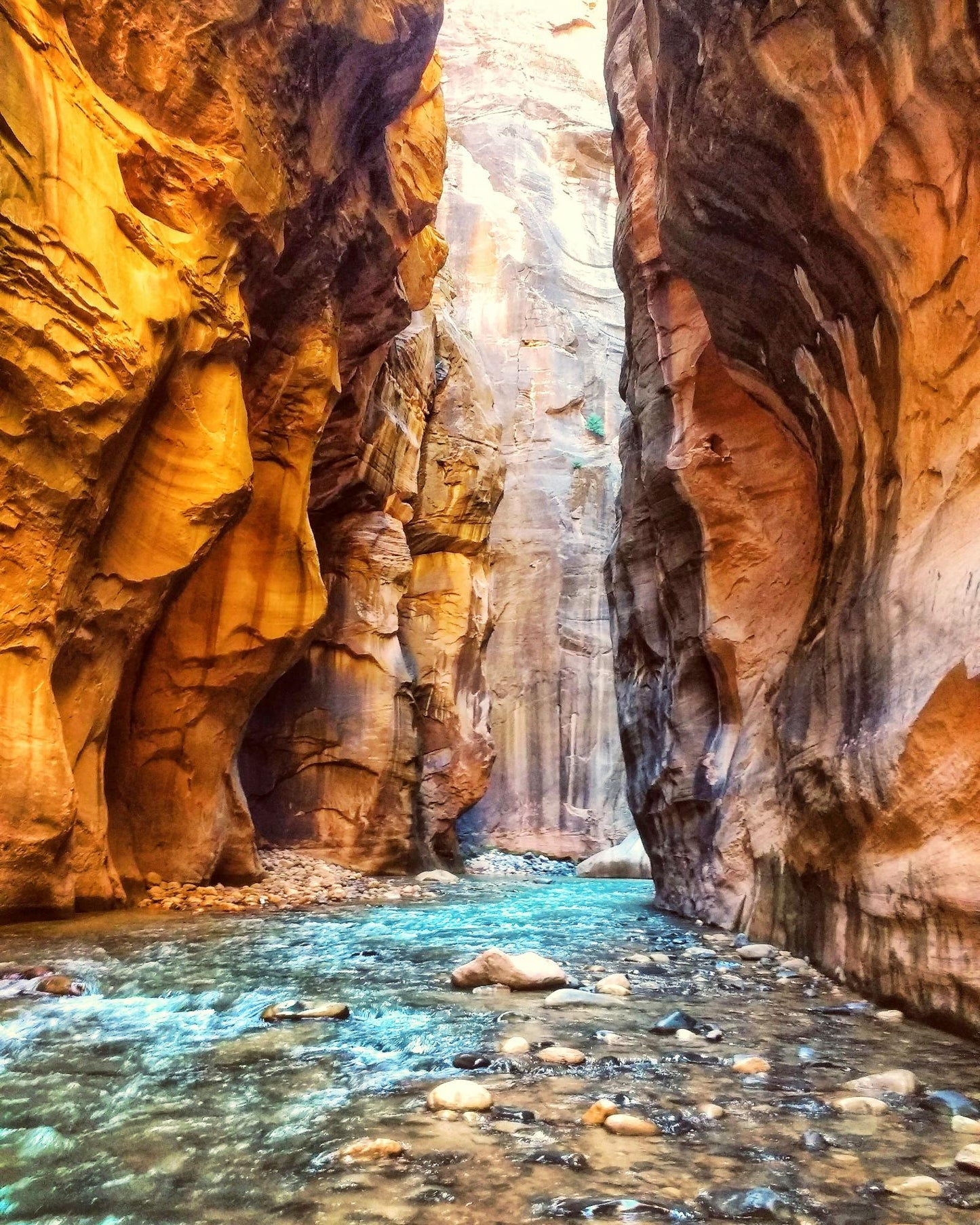 Zion National Park Utah 5872