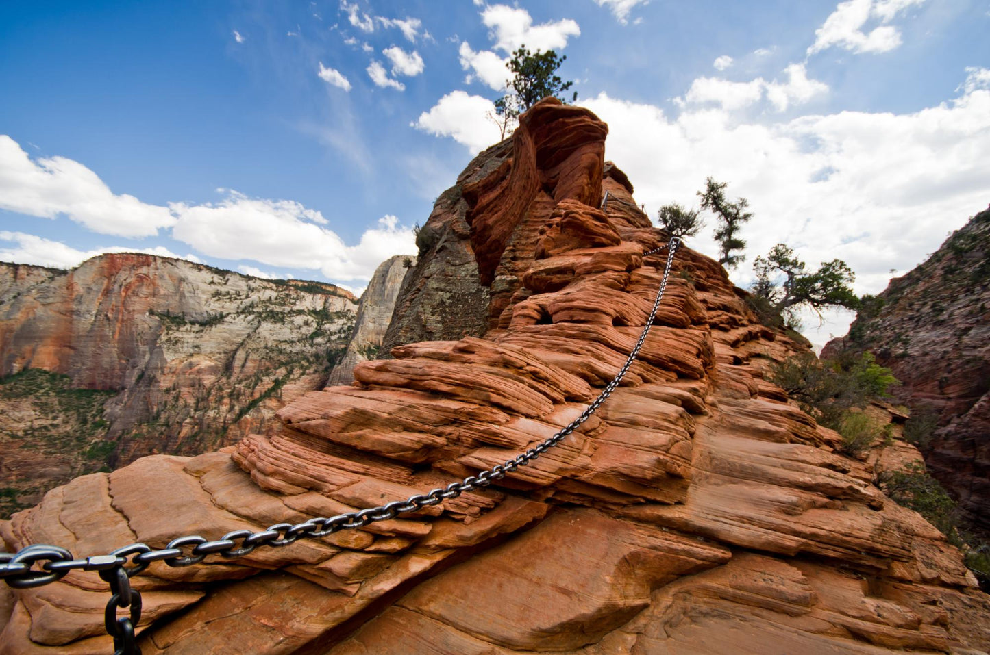 Zion National Park Utah 5873