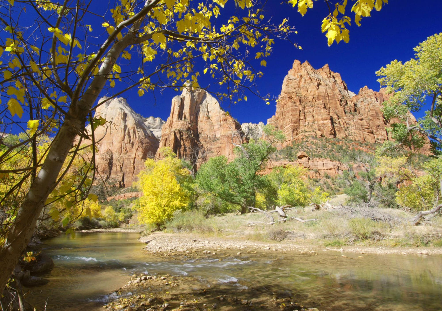 Zion National Park Utah 5876