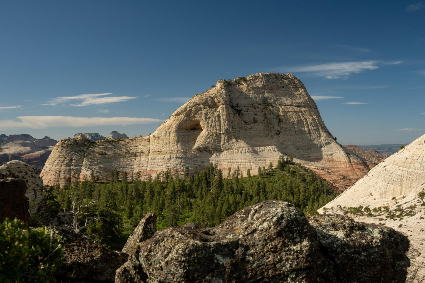 Zion National Park Utah 5879