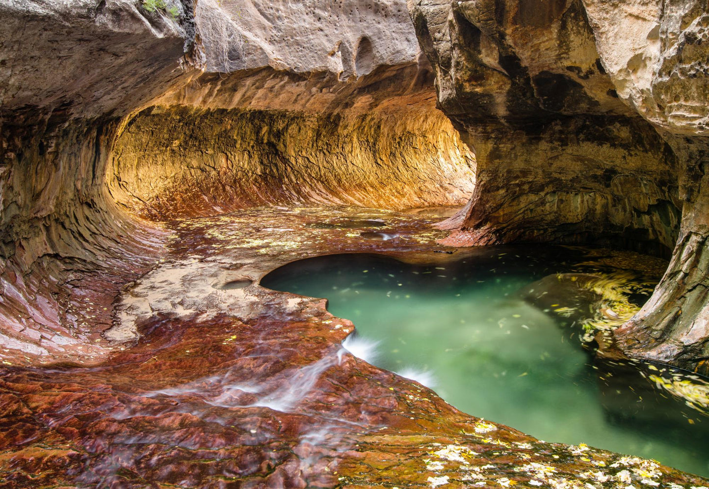 Zion National Park Utah 5881