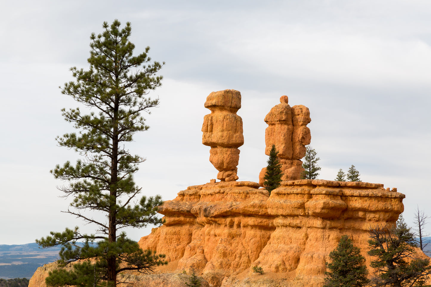 Arches National Park Utah 6107