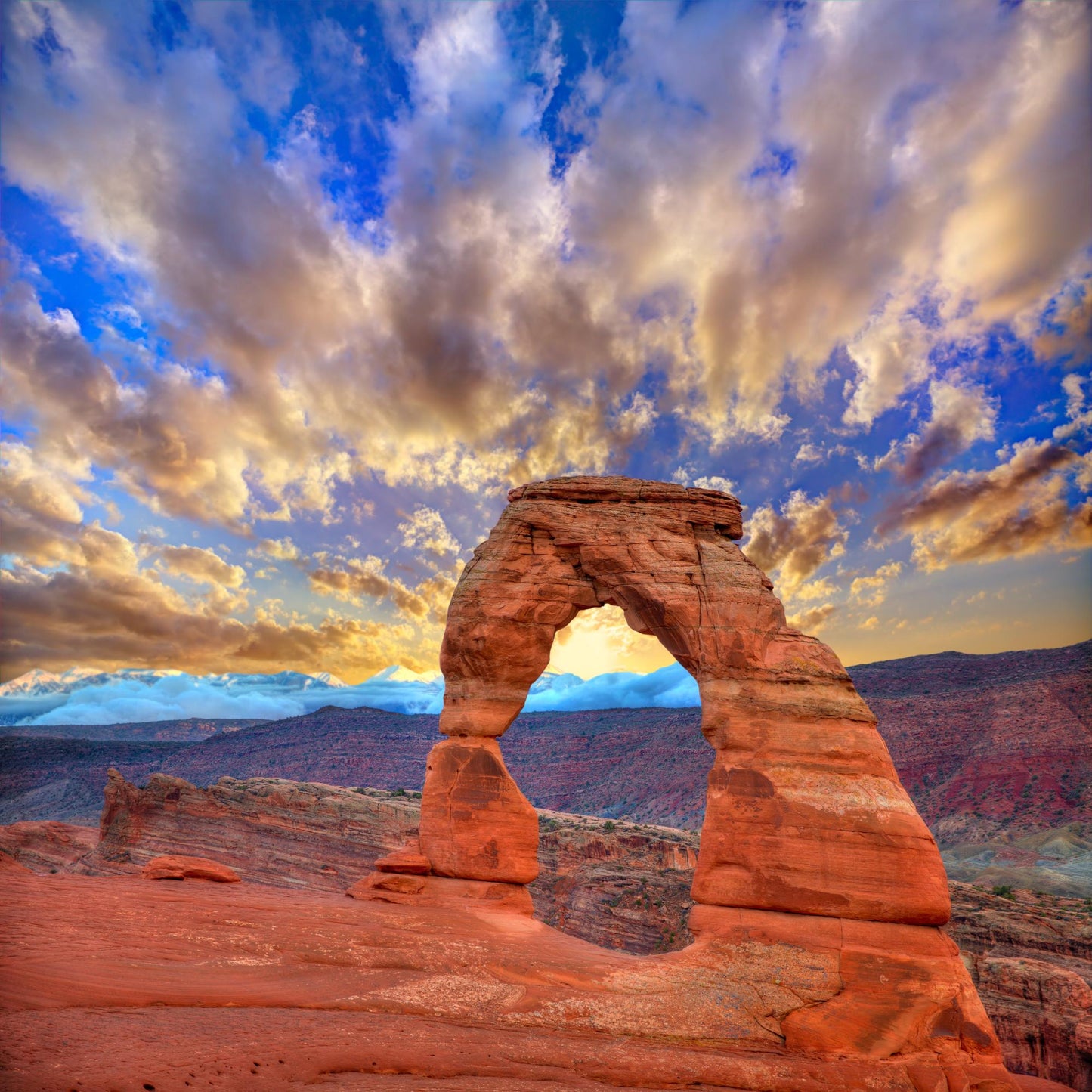 Arches National Park Utah 6110