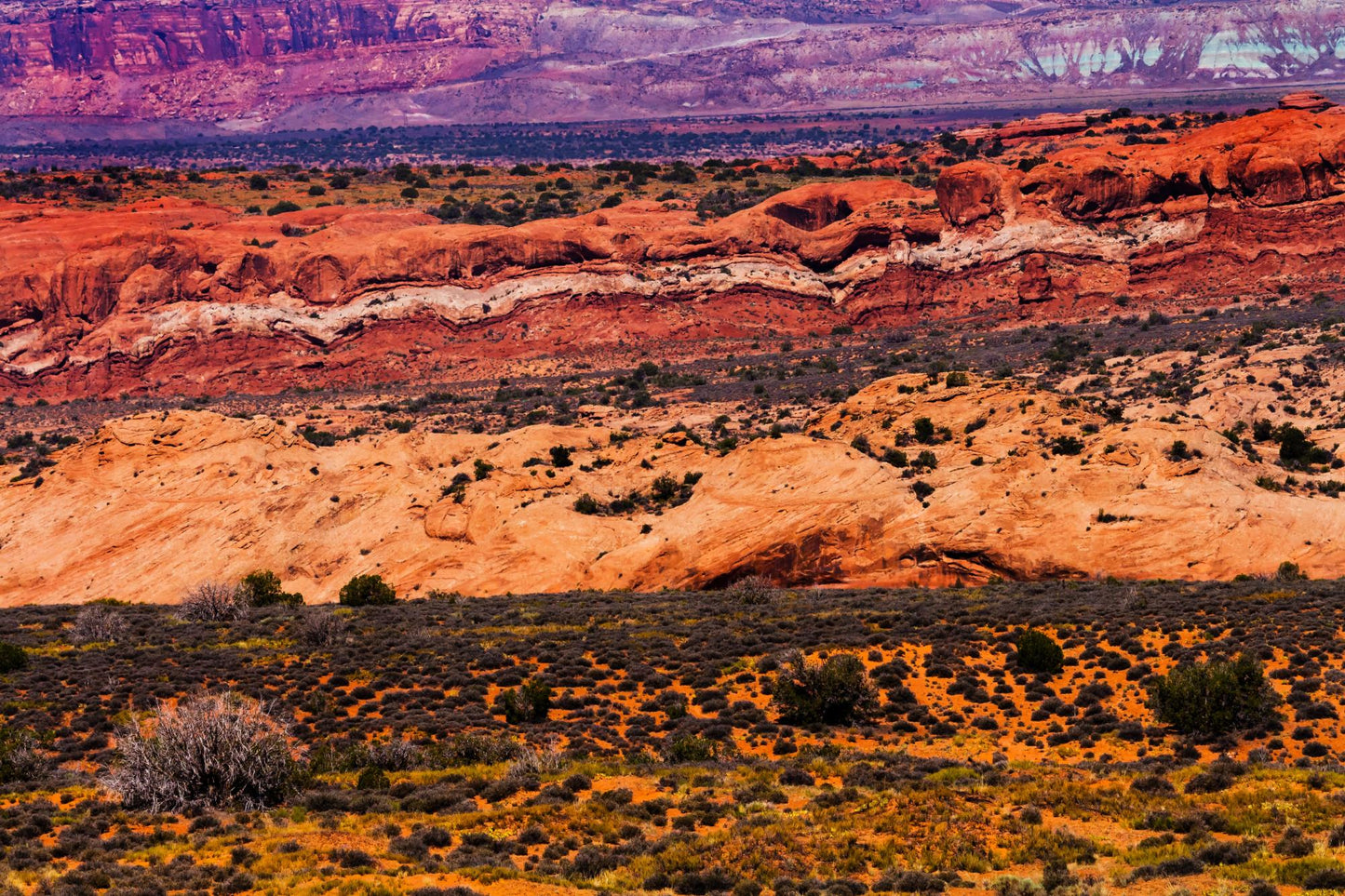 Arches National Park Utah 6116