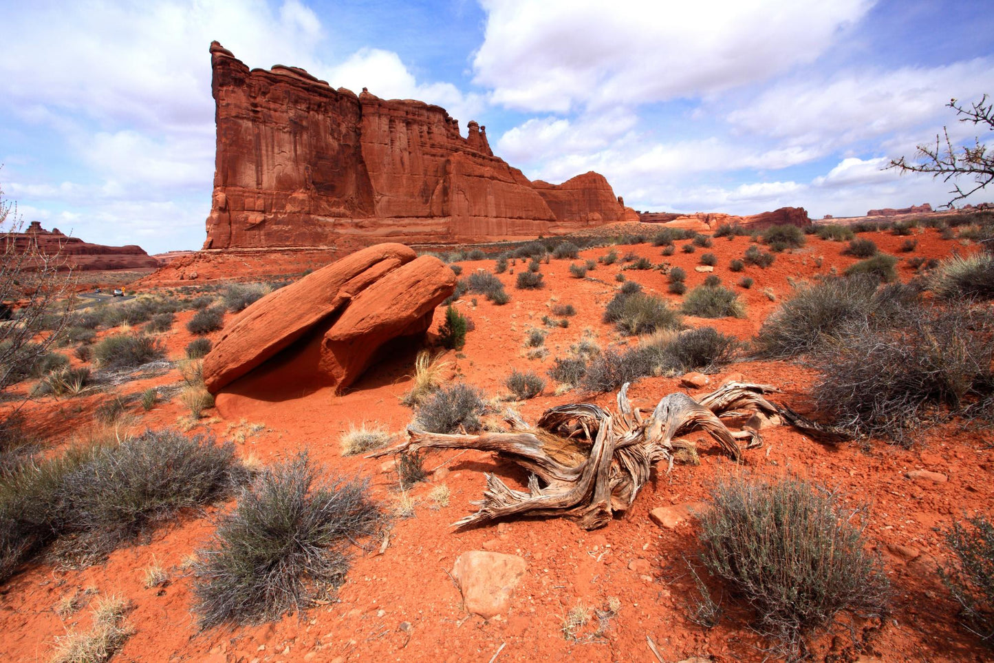 Arches National Park Utah 6121