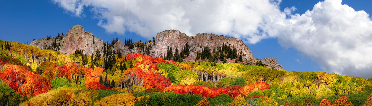 Colorado #7004