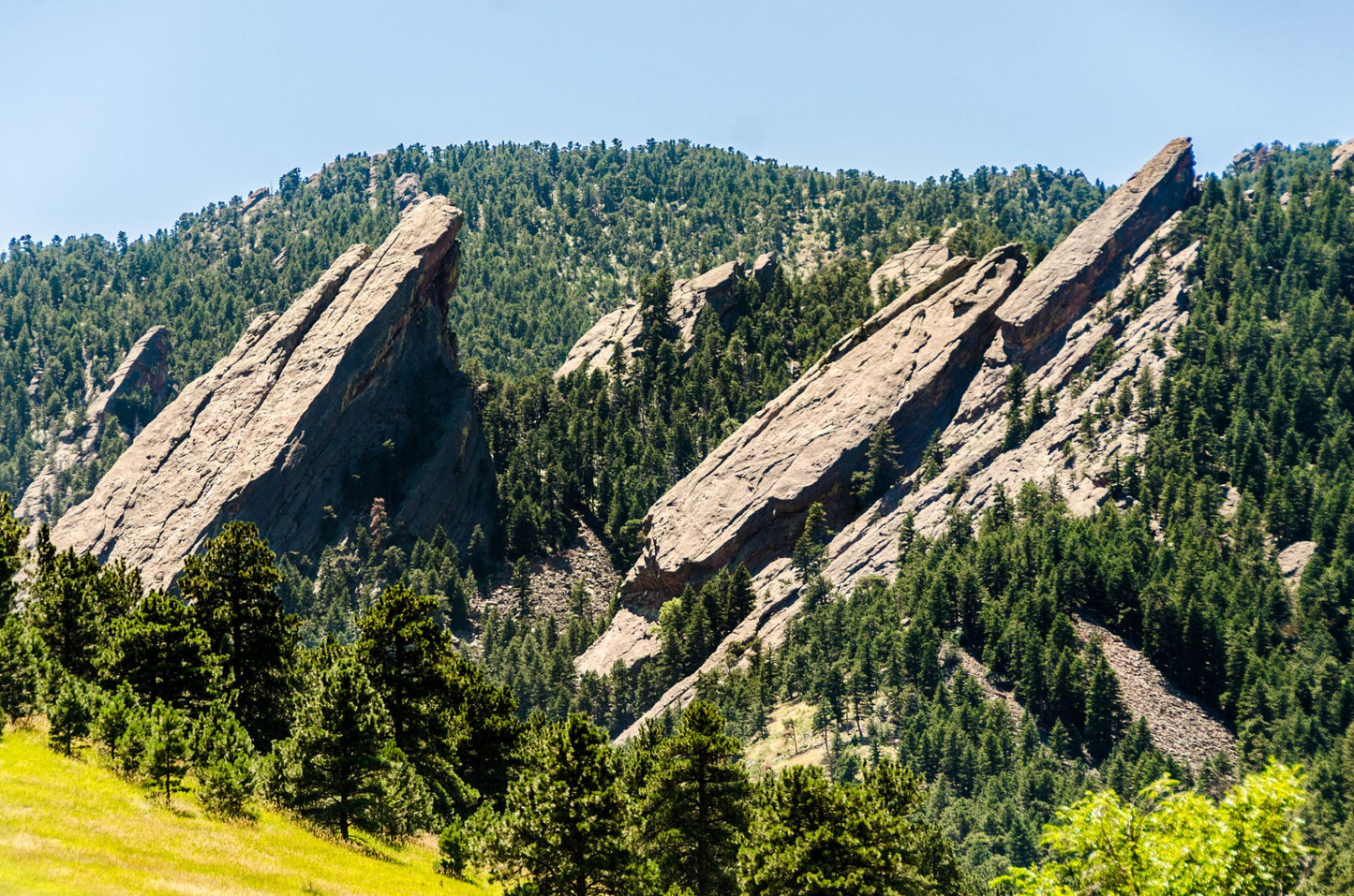 Colorado #7008