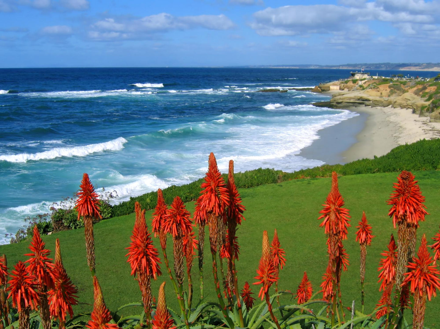 San Diego / La Jolla California 8111