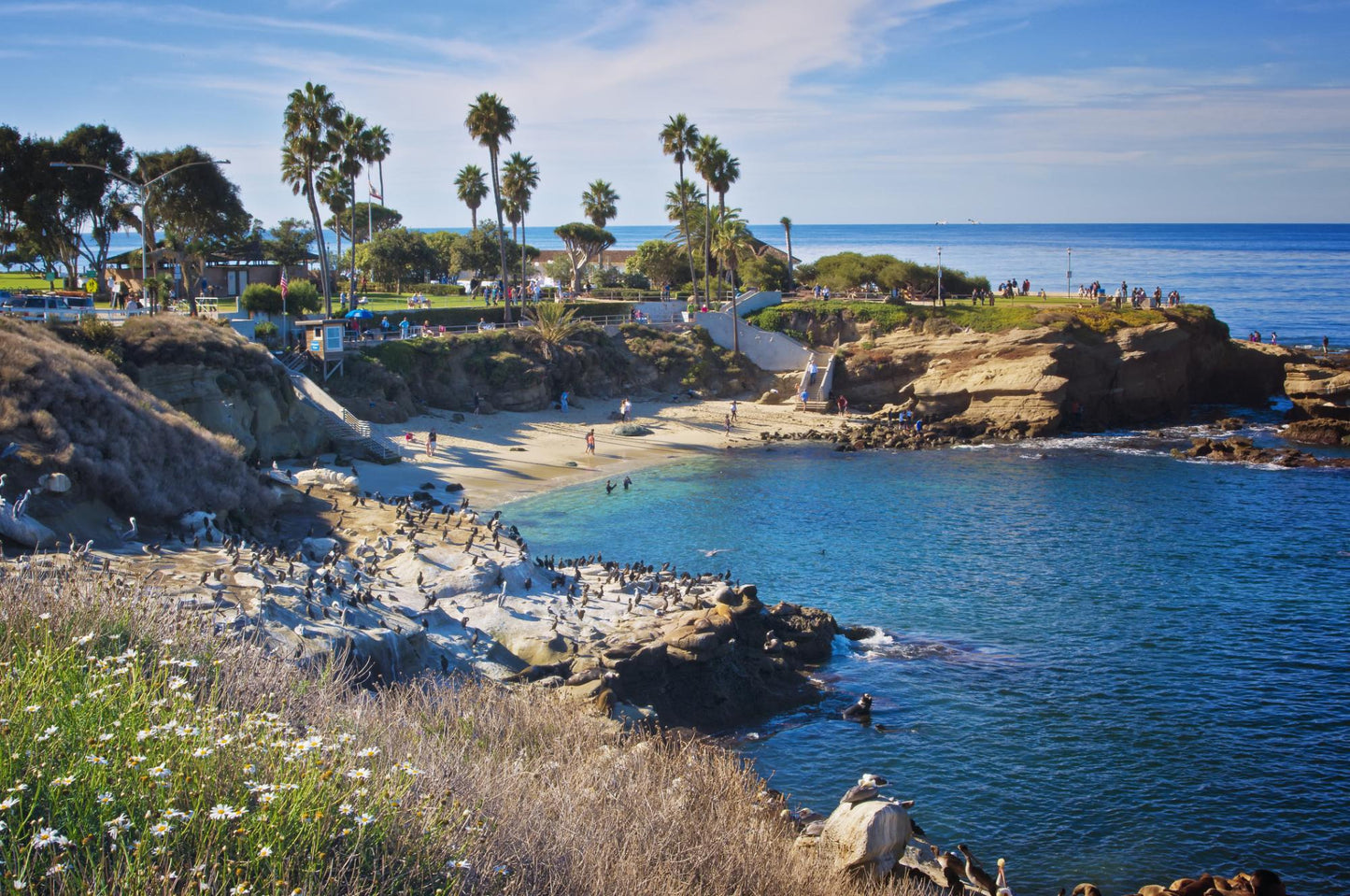 San Diego / La Jolla California 8112