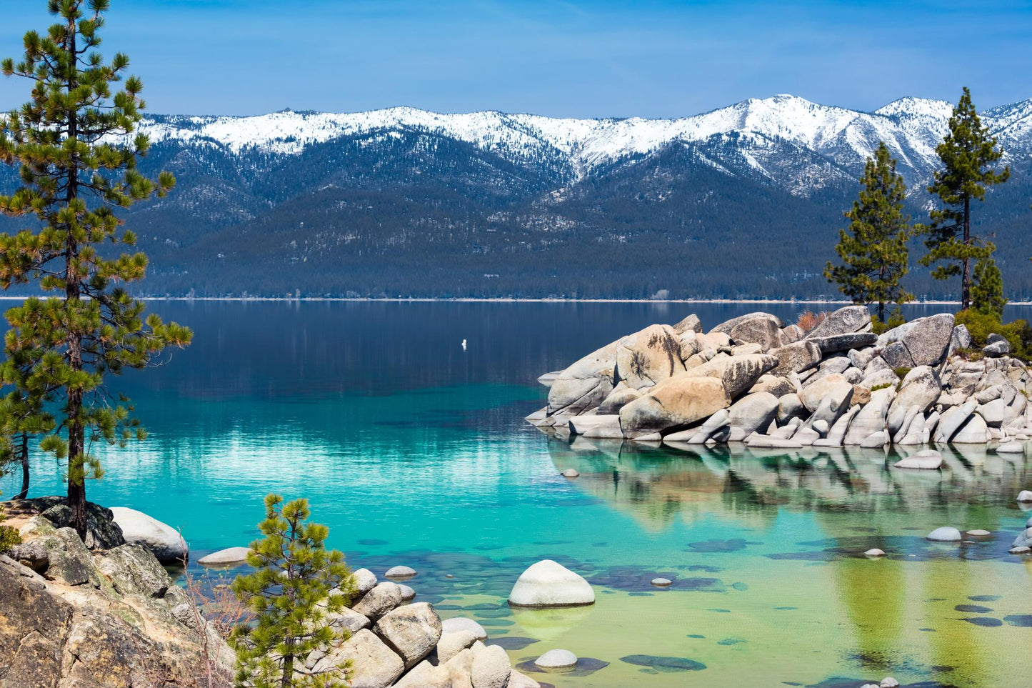 Lake Tahoe #8415