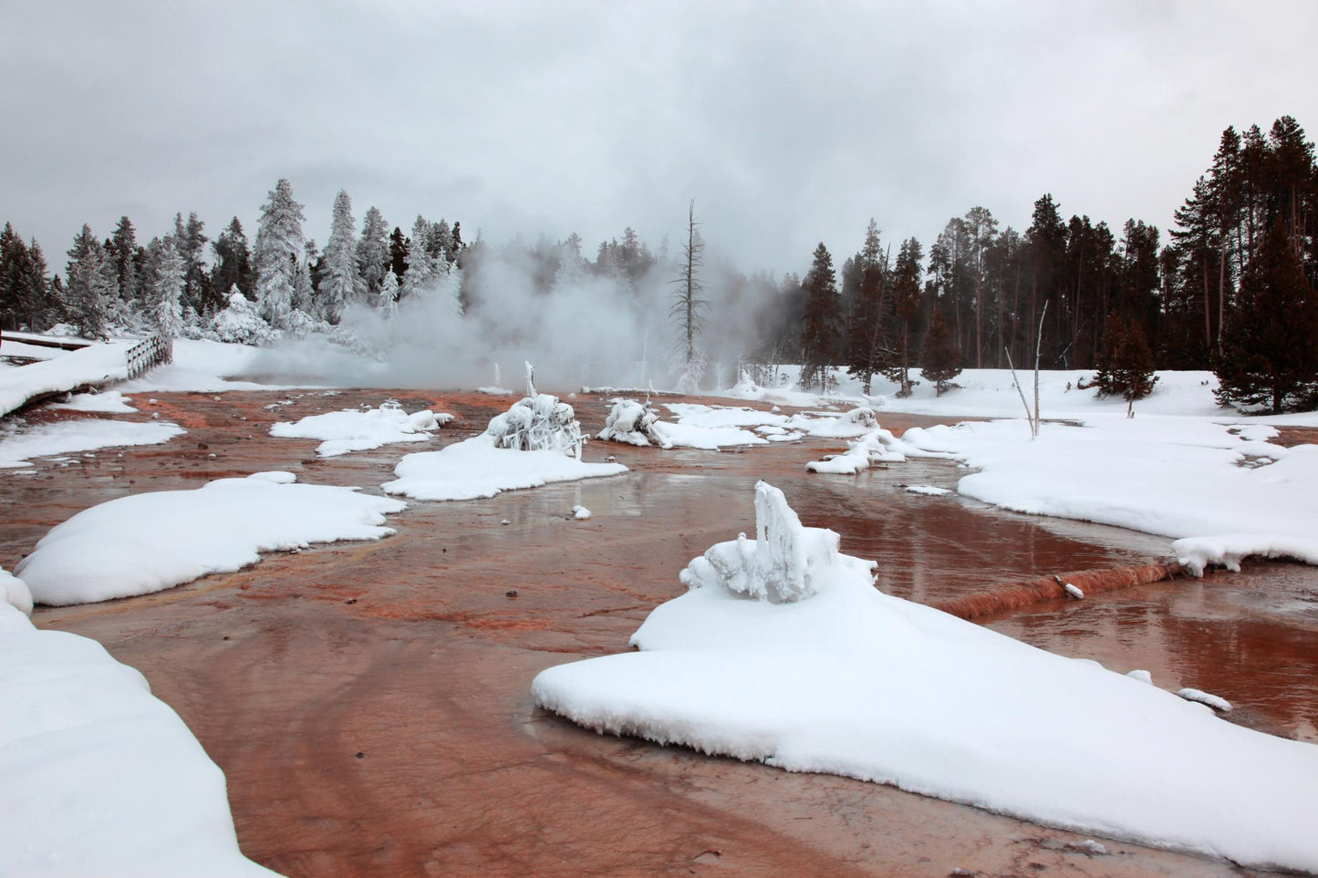 Yellow Stone National Park 900