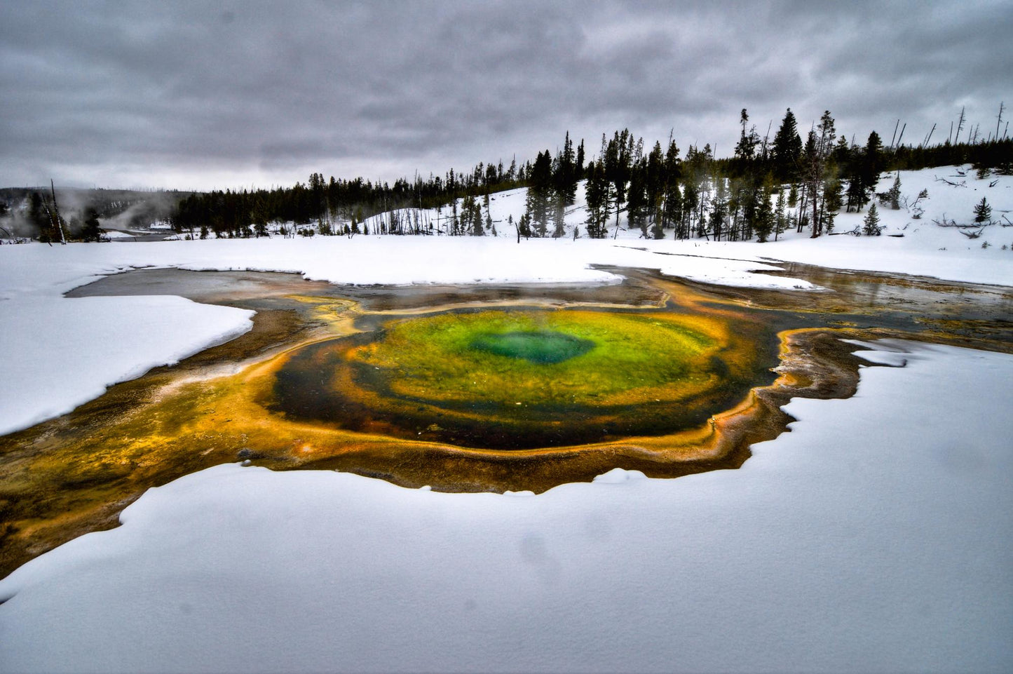 Yellow Stone National Park 907