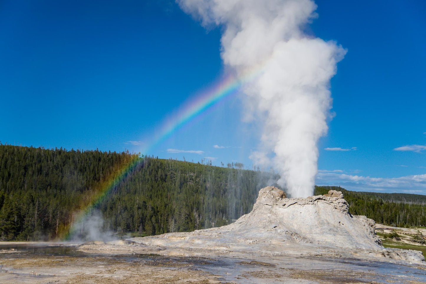 Yellow Stone National Park 909