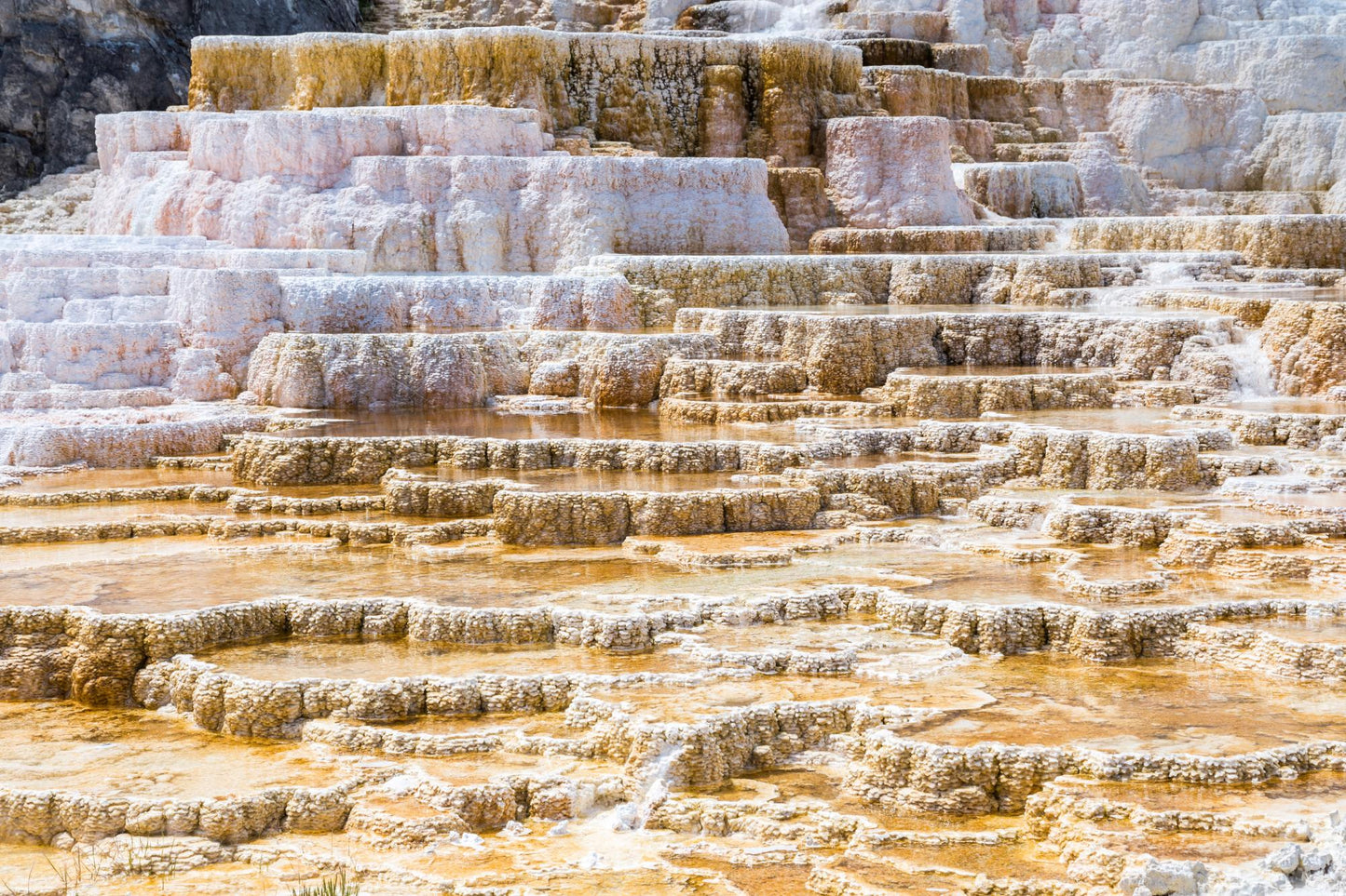 Yellow Stone National Park 910