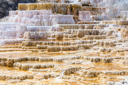 Yellow Stone National Park 910