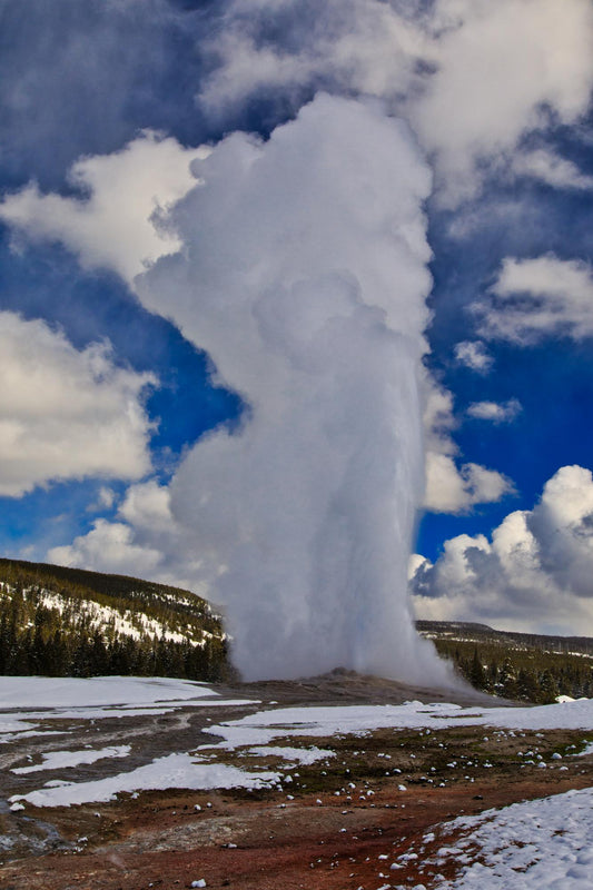 Yellow Stone National Park 916