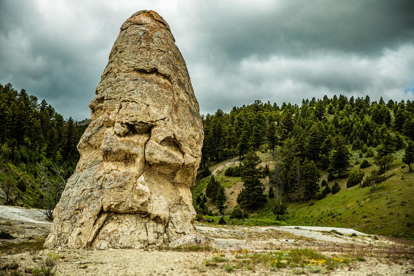 Yellow Stone National Park 926