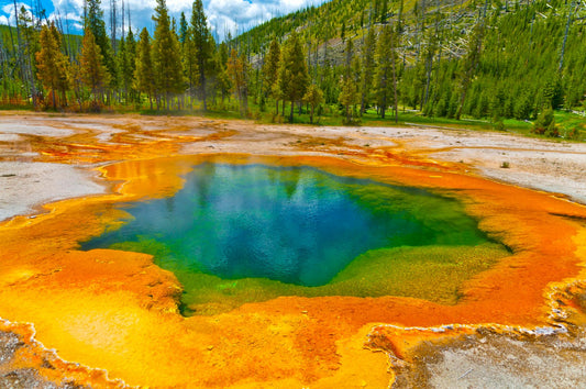 Yellow Stone National Park 927