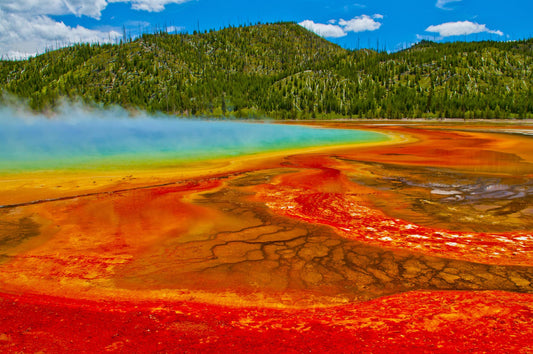 Yellow Stone National Park 928