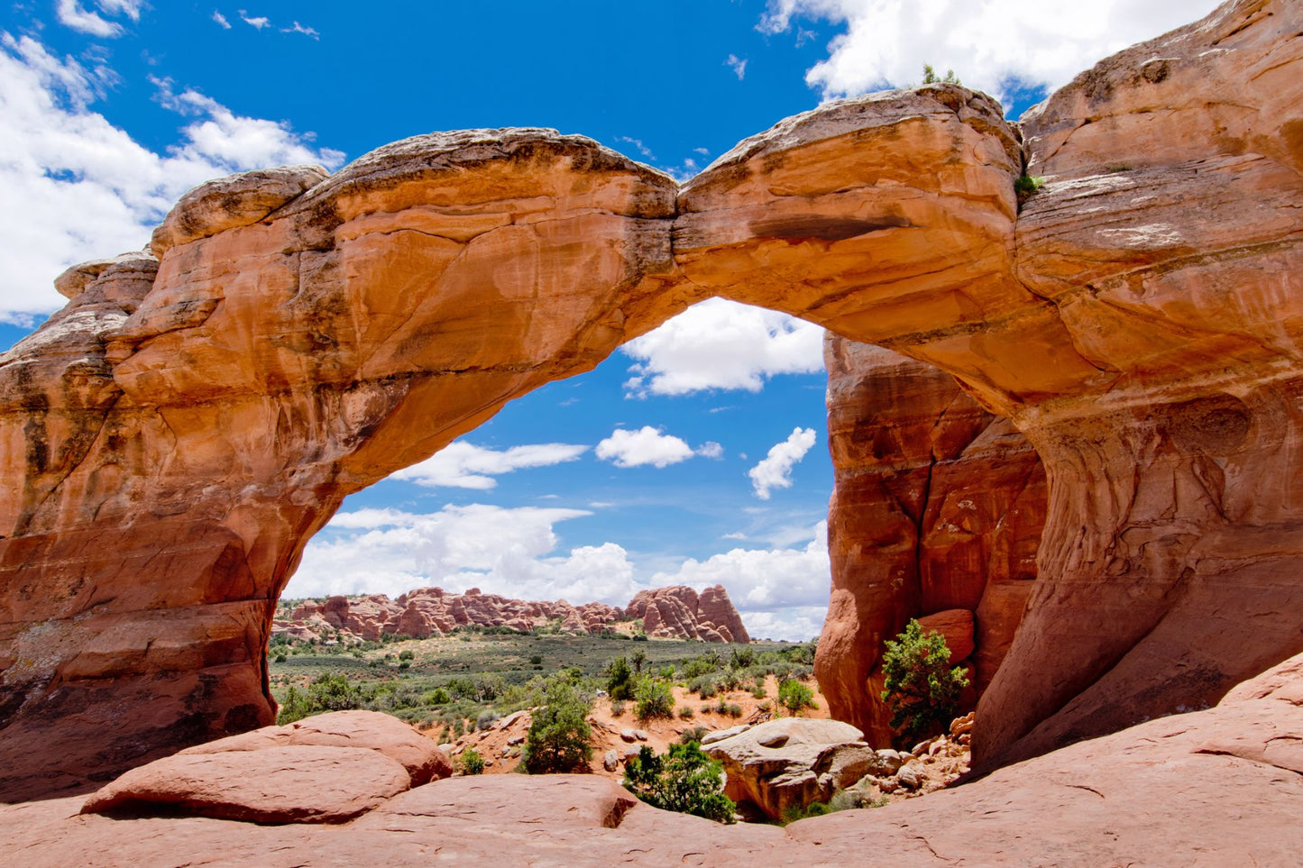 Arches National Park Utah 6010