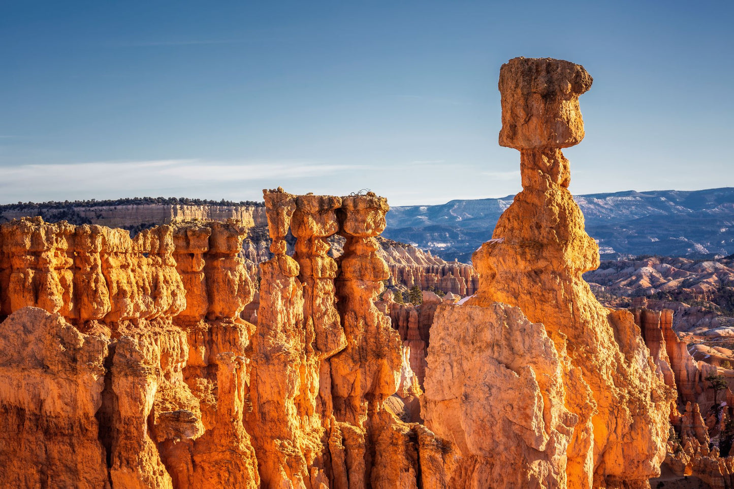 Bryce Canyon Utah #1400