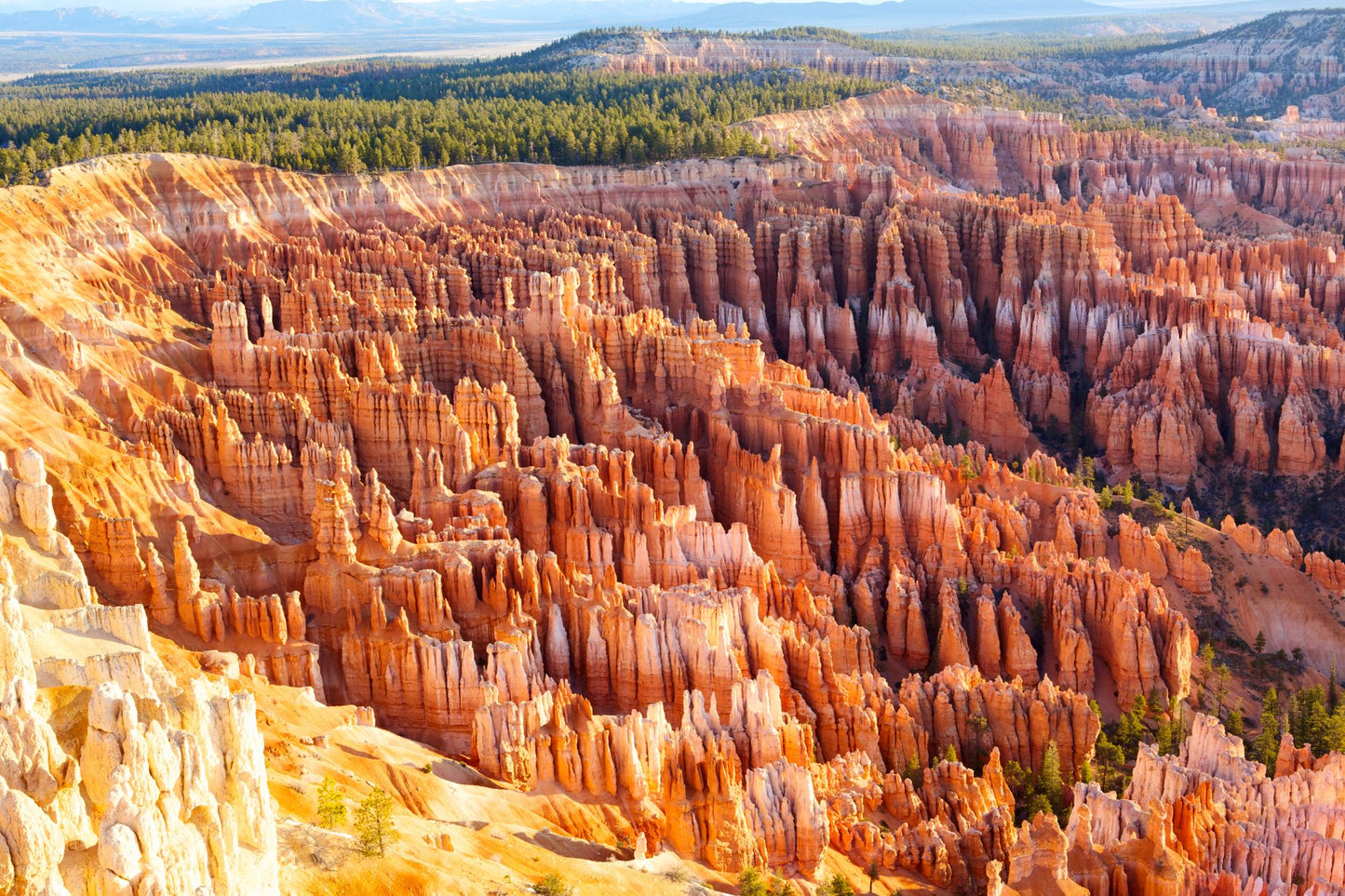 Bryce Canyon Utah #1402