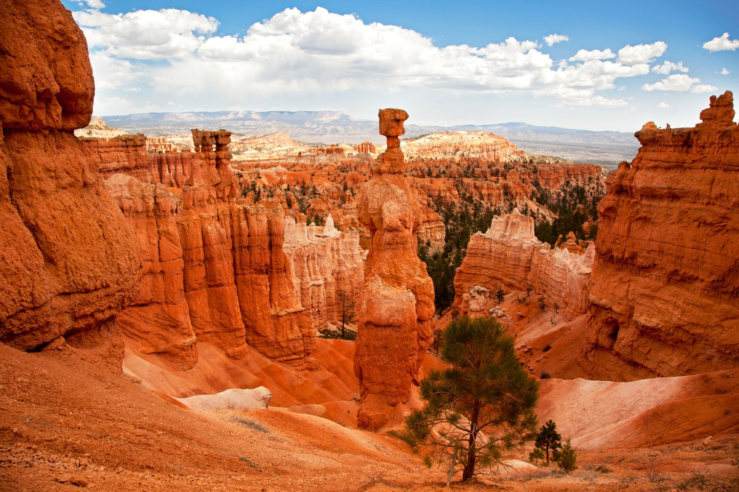 Bryce Canyon Utah #1403