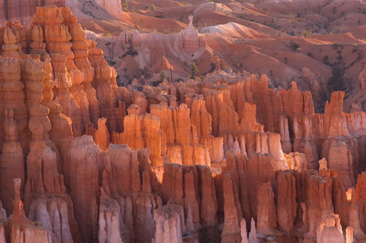 Bryce Canyon Utah #1404