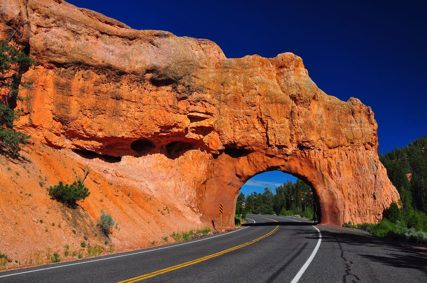 Bryce Canyon Utah #1405