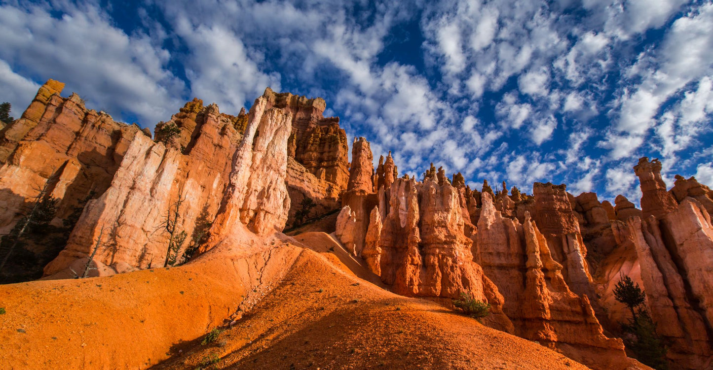 Bryce Canyon Utah #1406