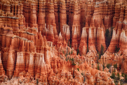 Bryce Canyon Utah #1407