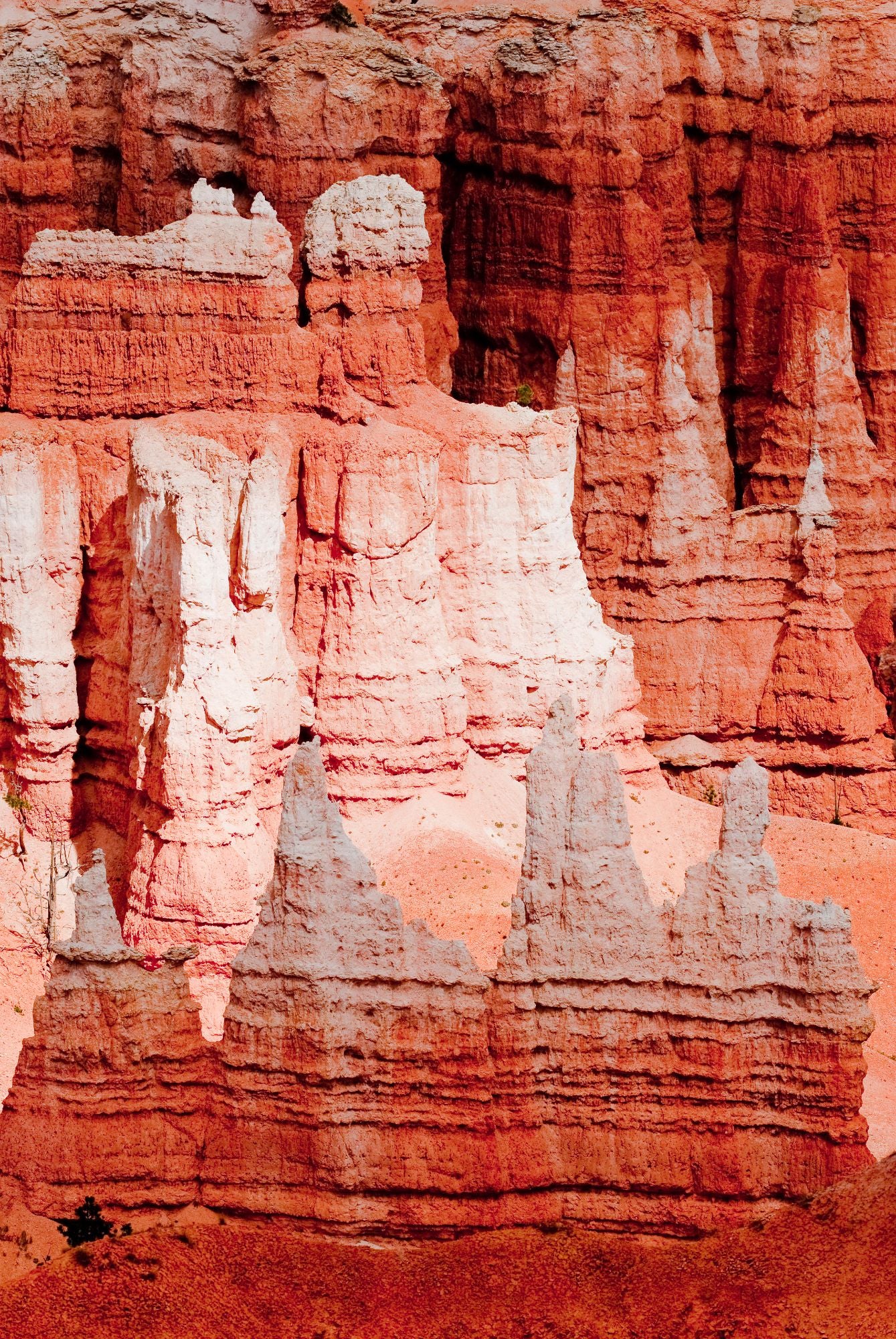 Bryce Canyon Utah #1408