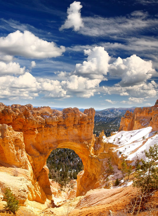 Bryce Canyon Utah #1410