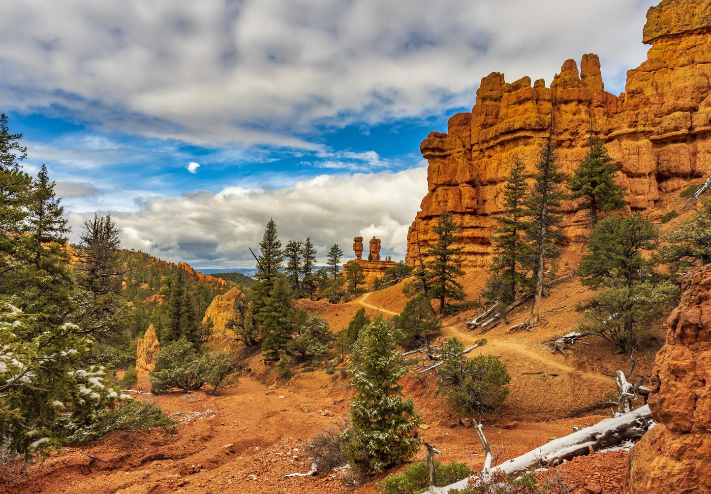 Dixie National  Forest Utah 1750