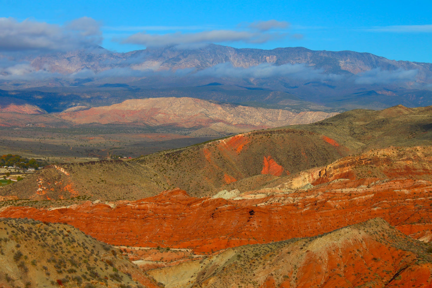 Dixie National  Forest Utah 1752