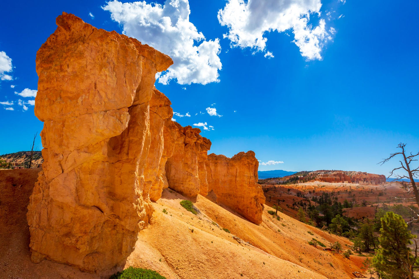 Dixie National  Forest Utah 1753