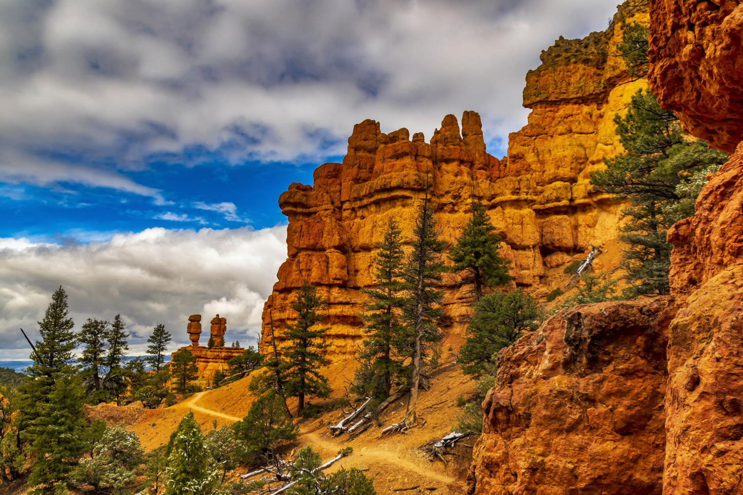 Dixie National  Forest Utah 1754