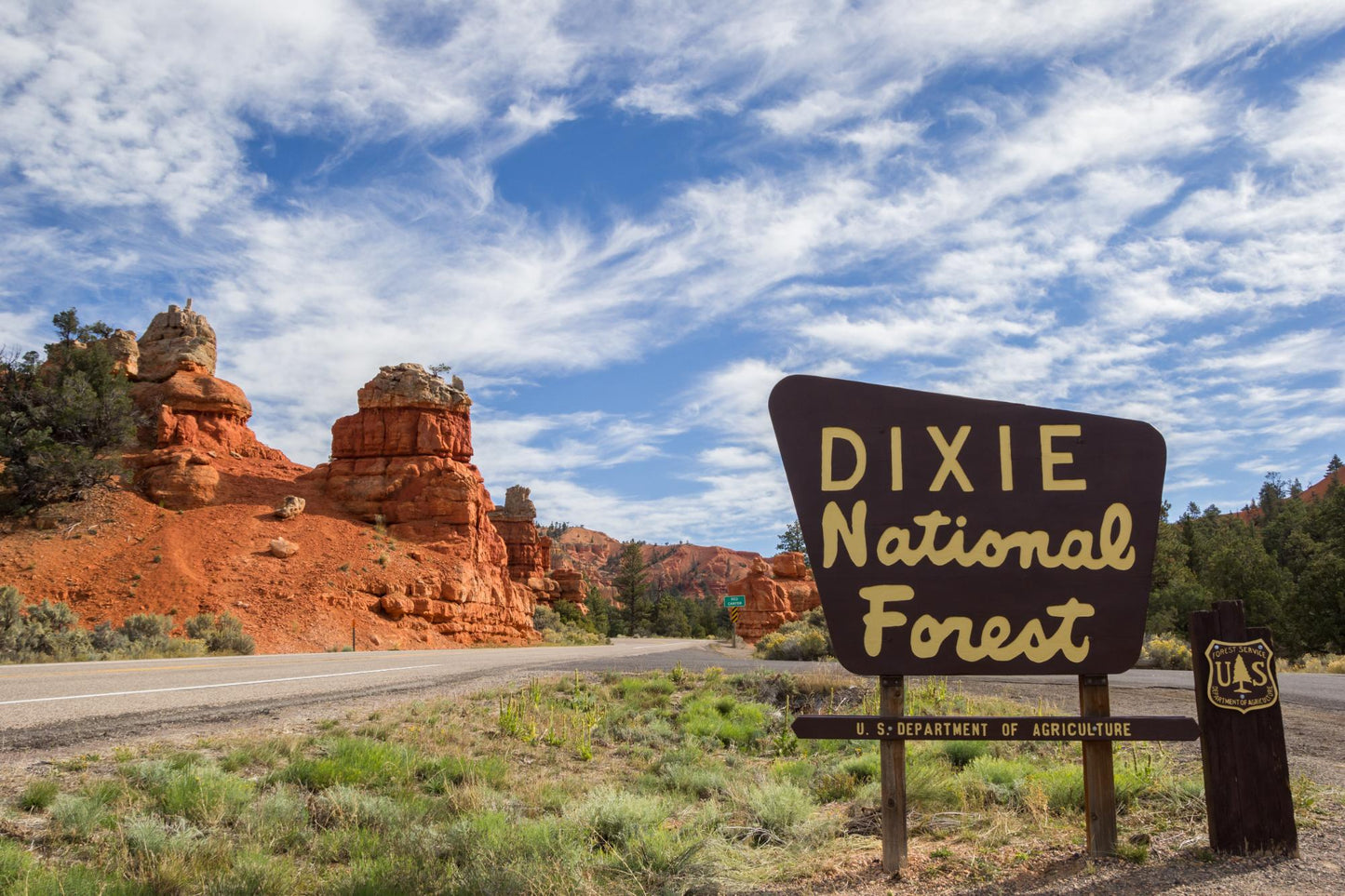 Dixie National  Forest Utah 1756