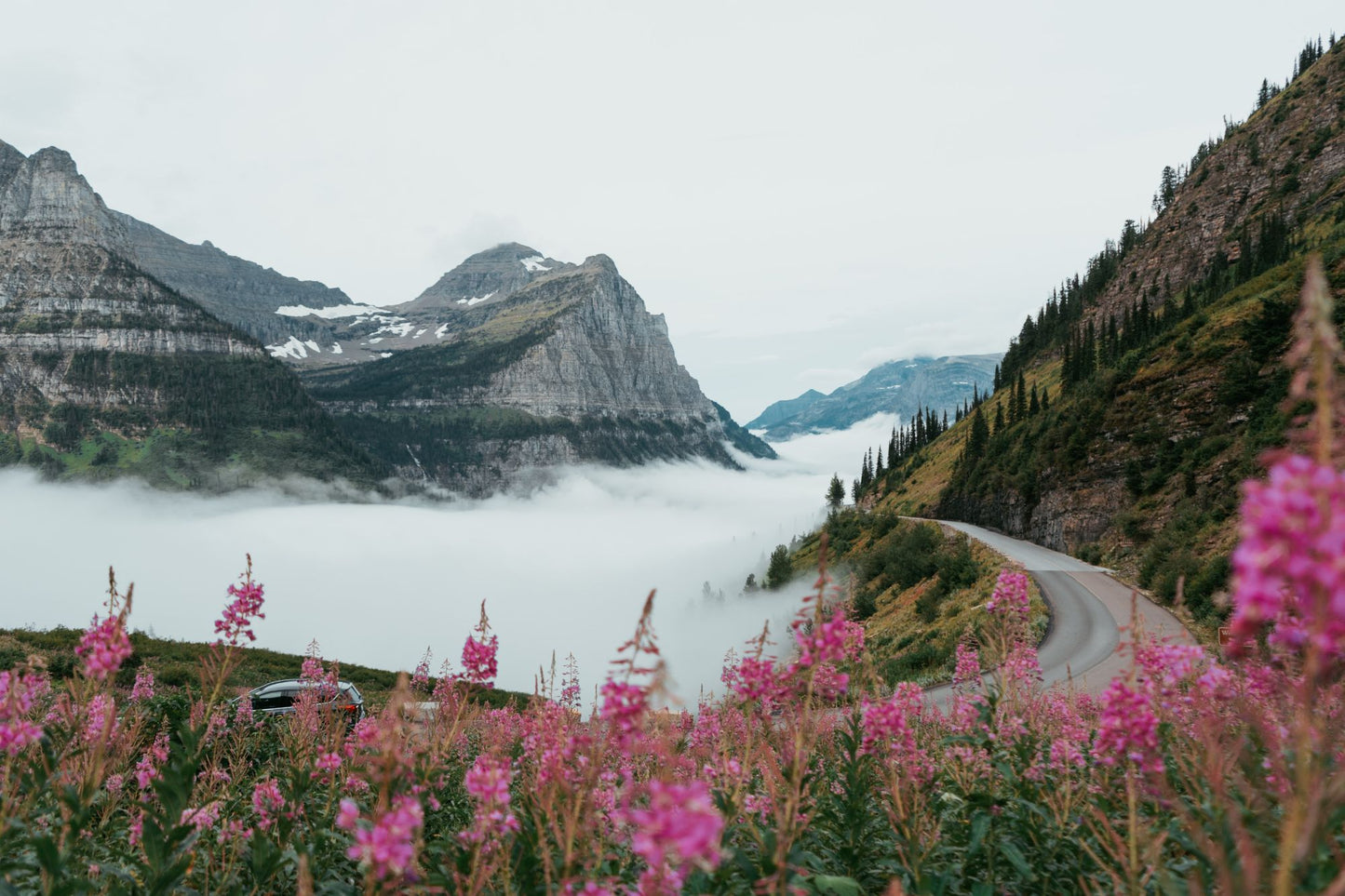 Glacier National Park #3028