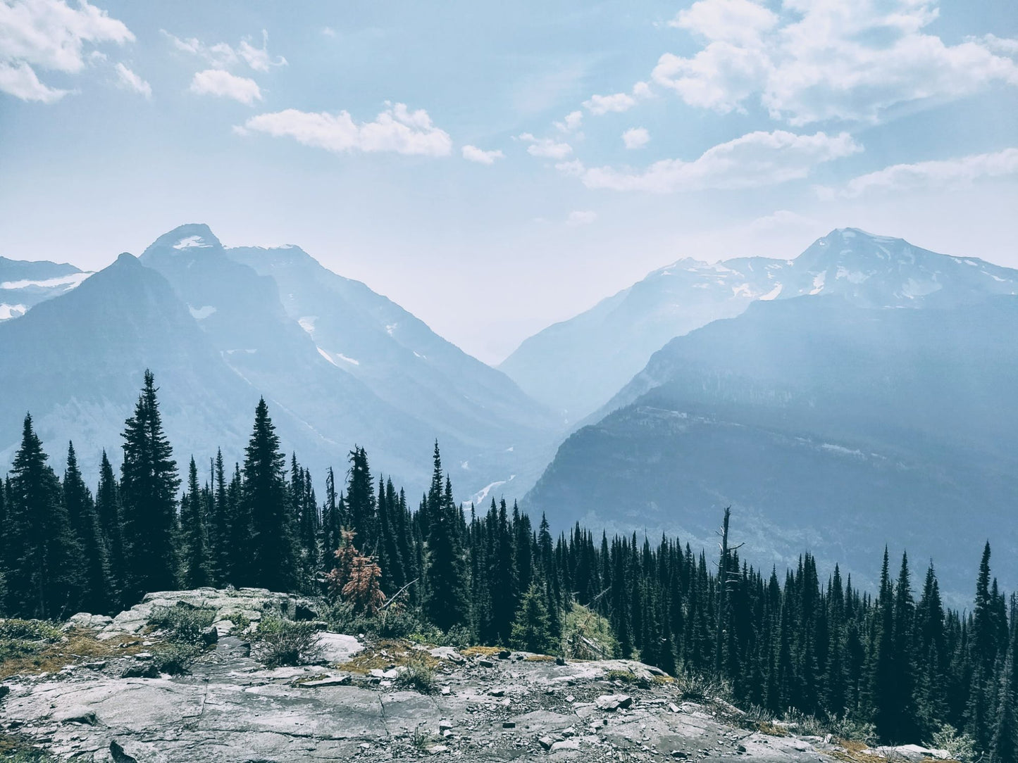 Glacier National Park #3031