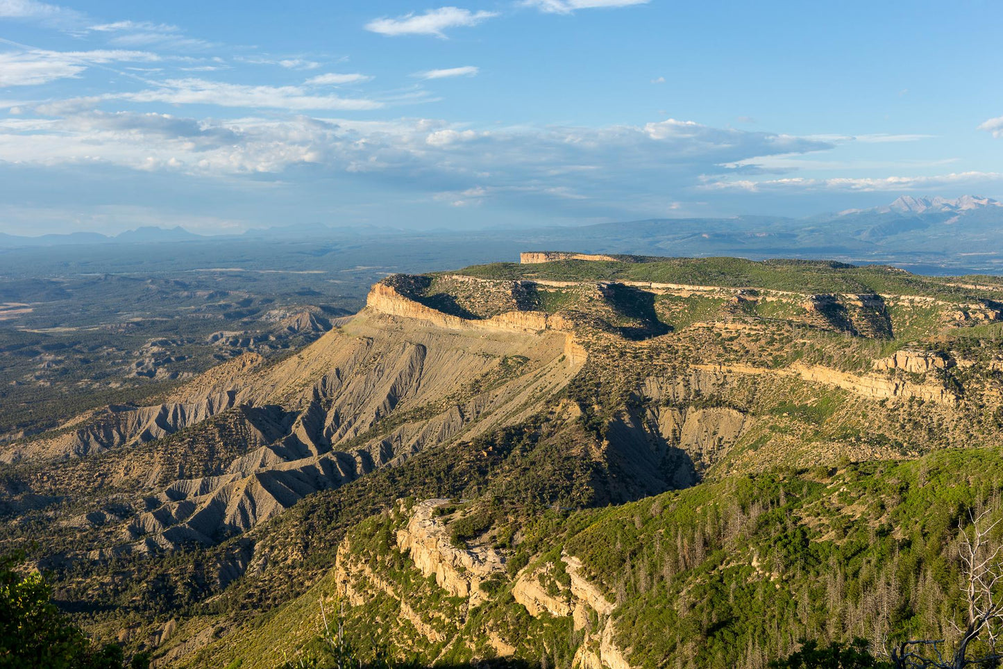 Mesa Verde #1106