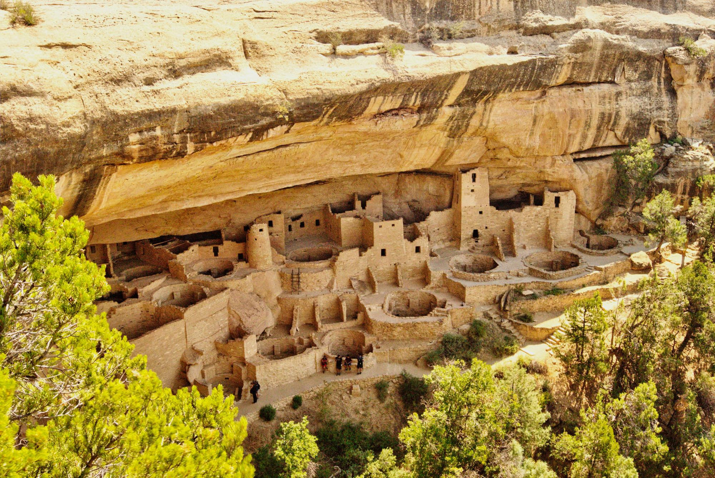 Mesa Verde #1114