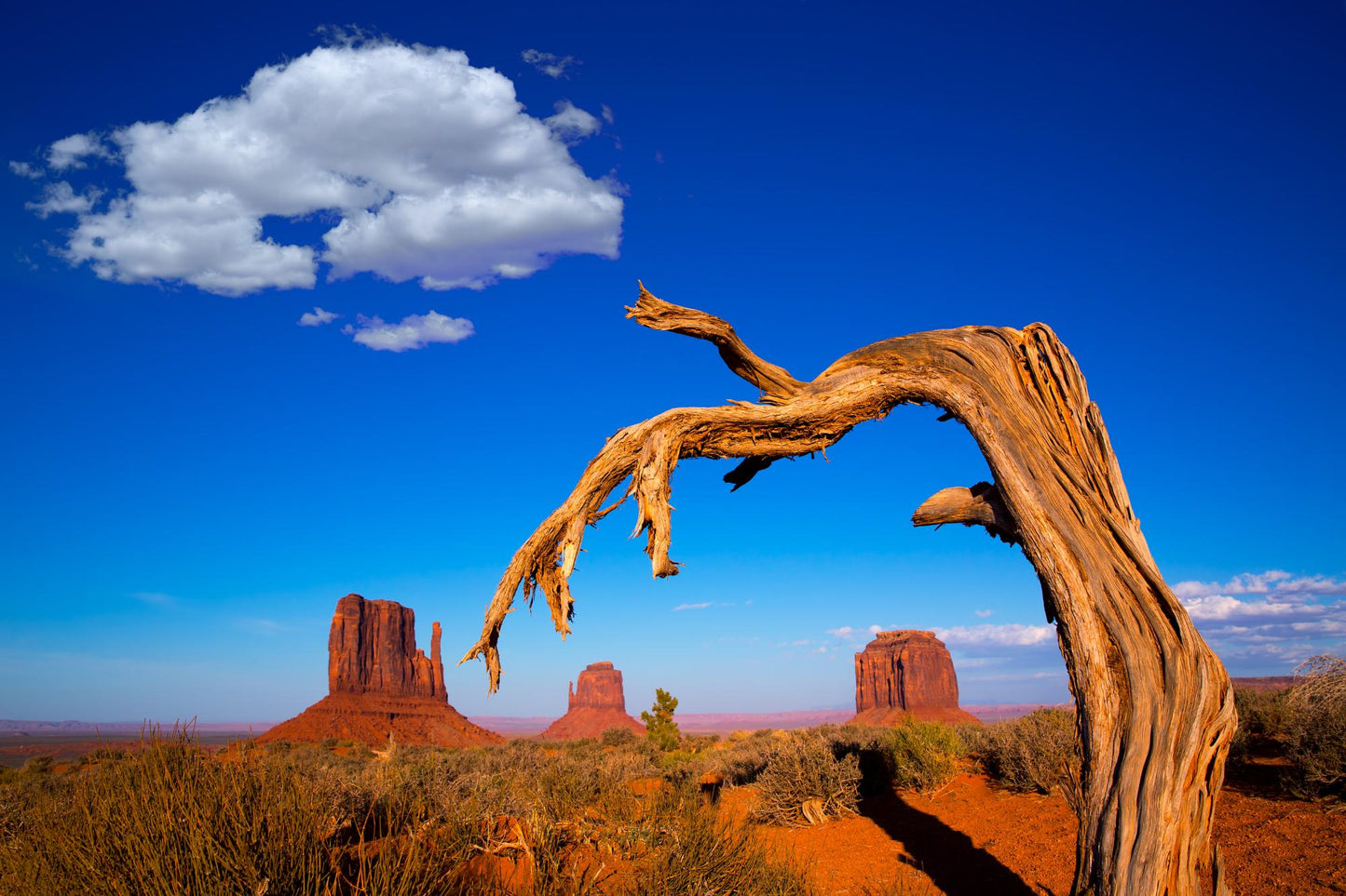 Monument Valley Navajo Tribal Park 1618