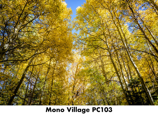 Mono Village PC103