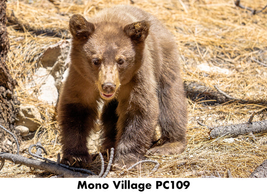 Mono Village PC109