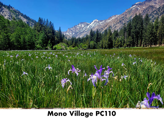 Mono Village PC110