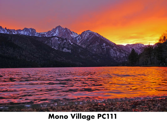 Mono Village PC111