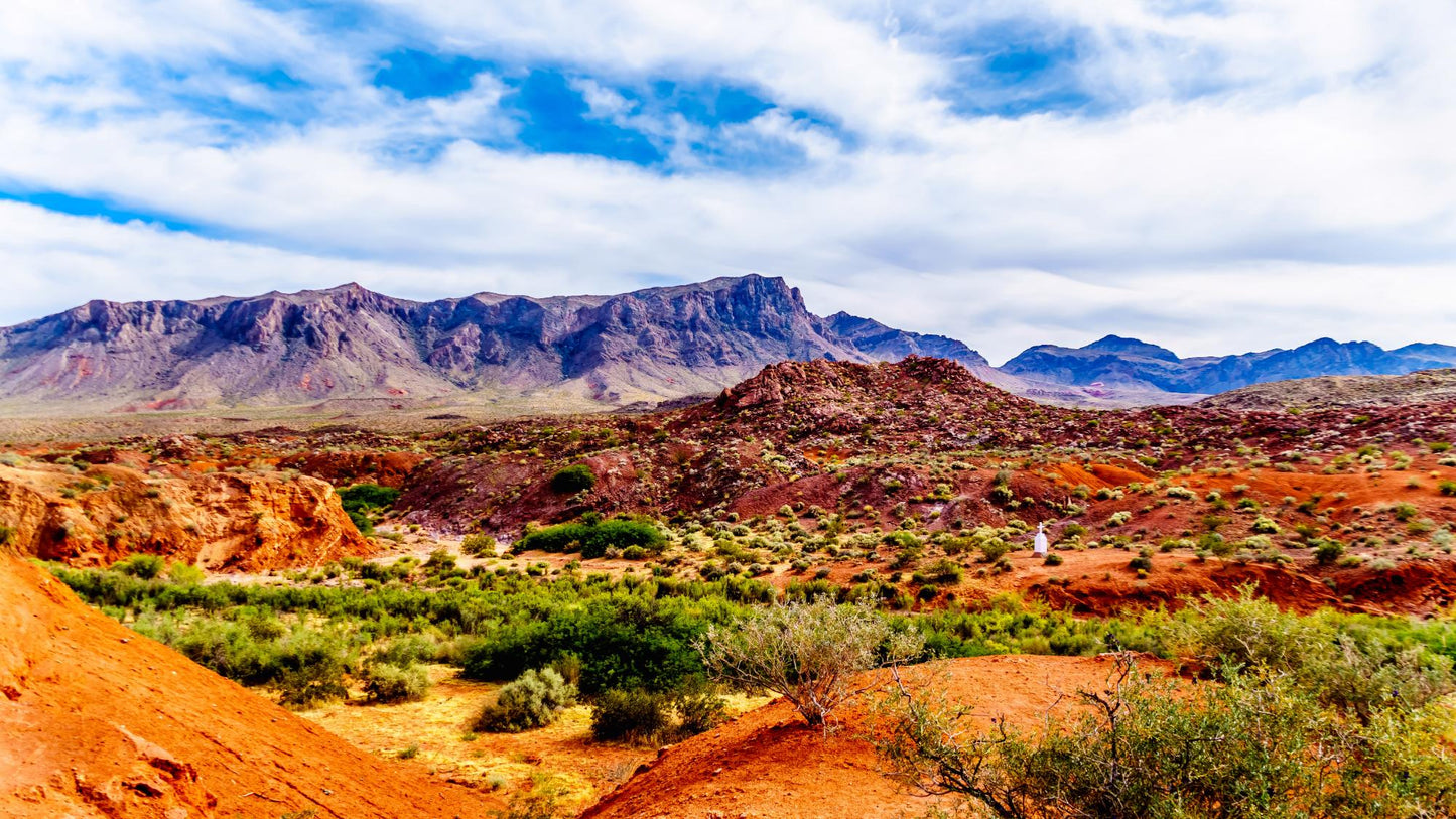 Valley Of Fire State Park Nevada 407