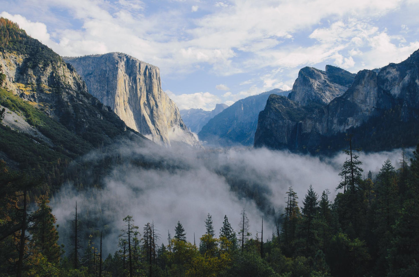 Yosemite National Park 260